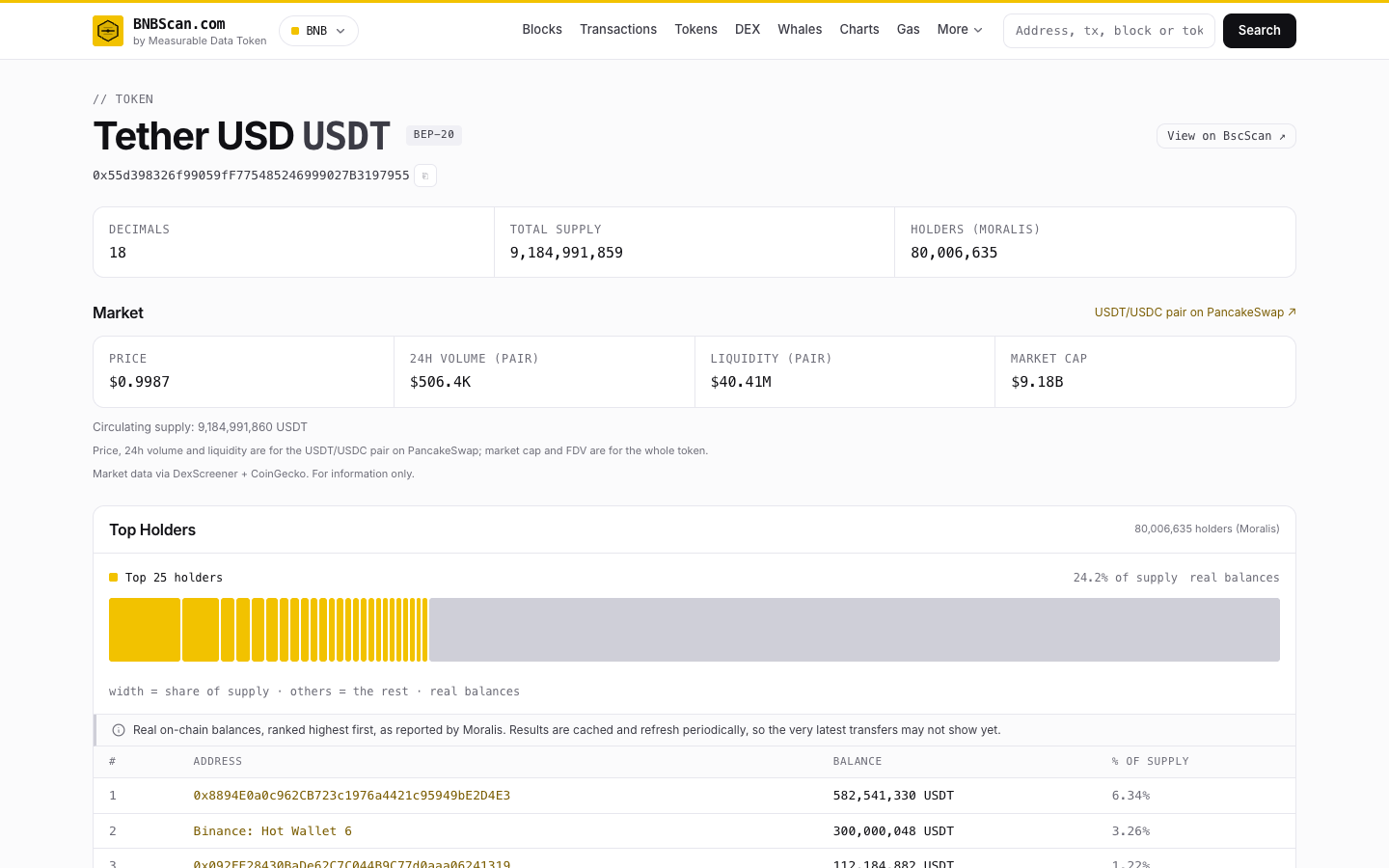 The USDT token page on BNB Chain, with market data and top holders