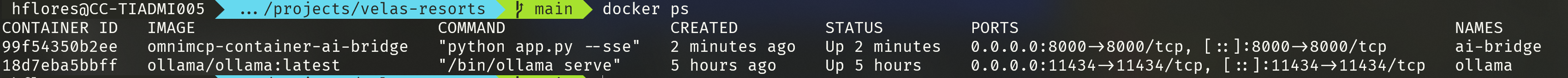 Docker Process