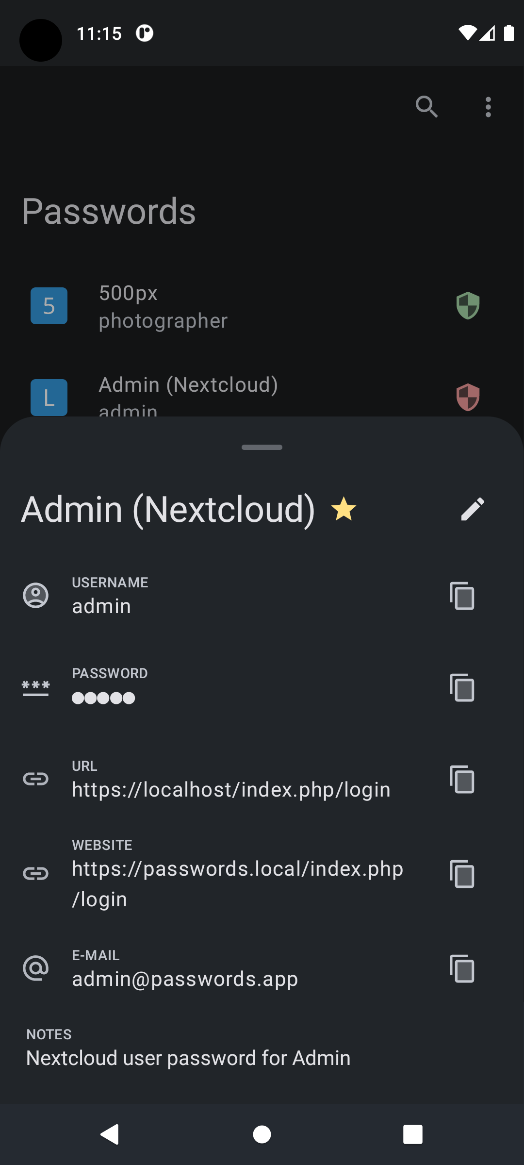 Dark password detail view