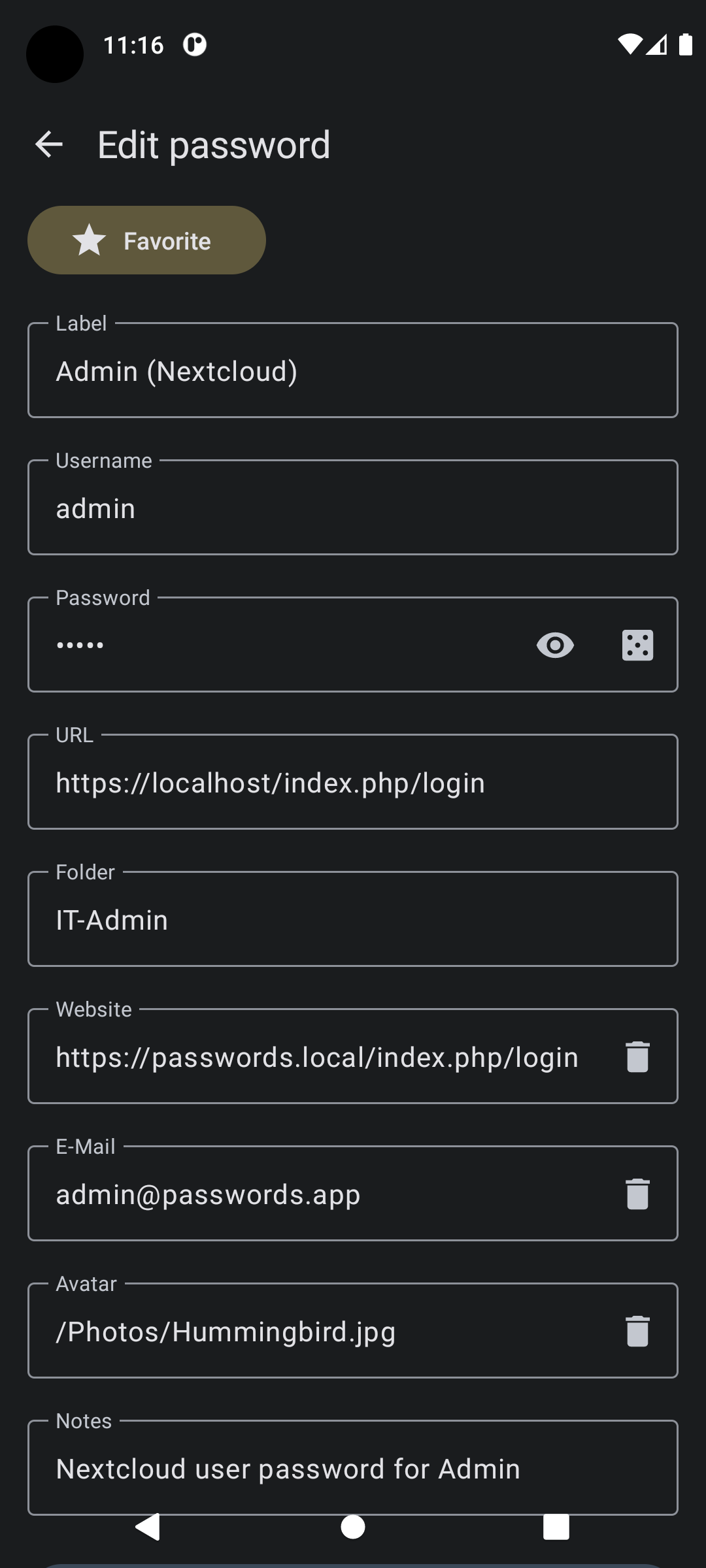 Dark password edit view
