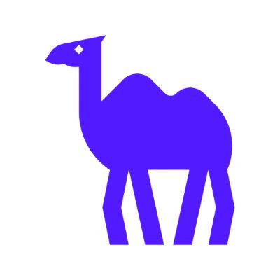 CamelAI