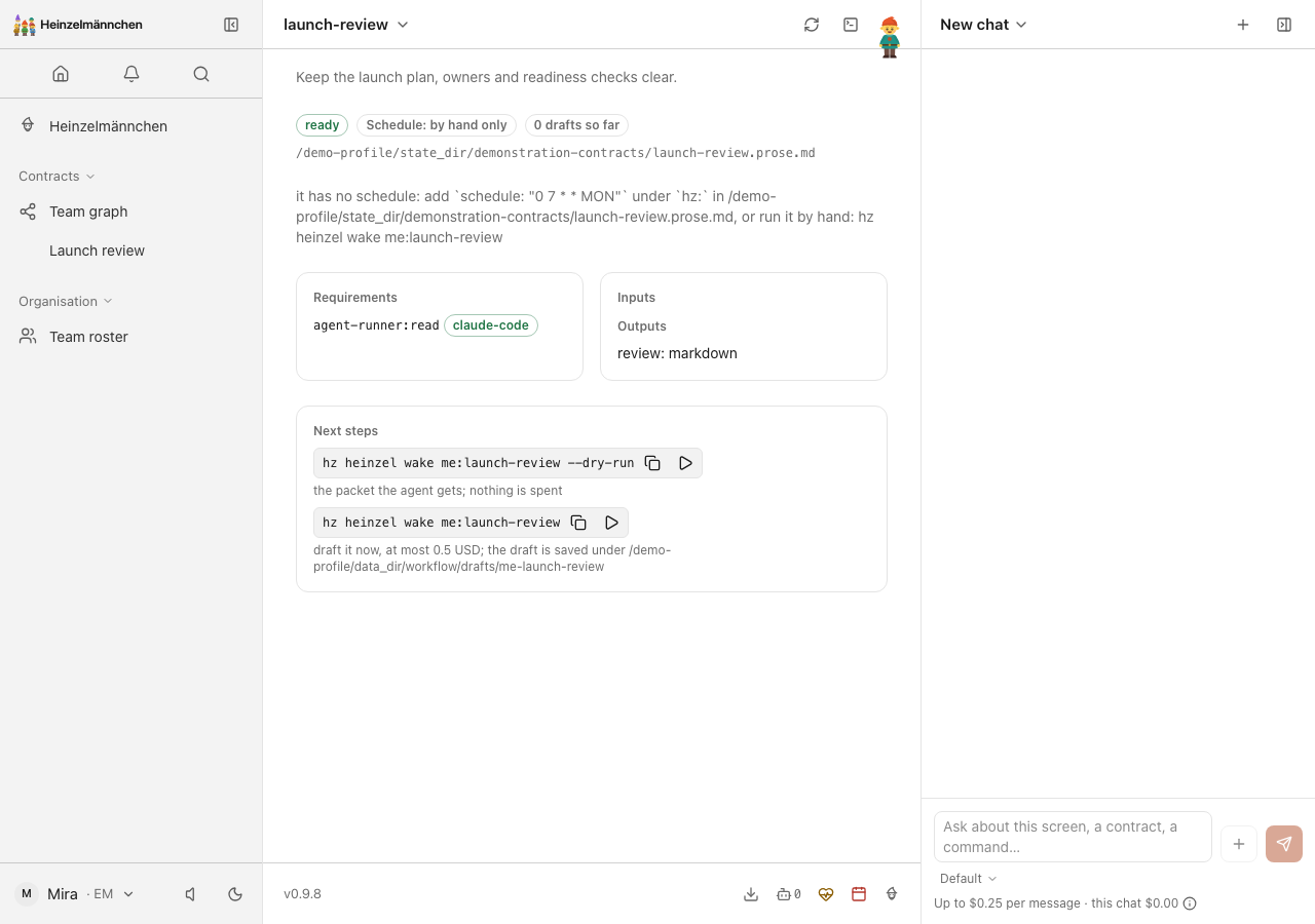 The installed Heinzelmännchen theme on a representative local contract — light appearance