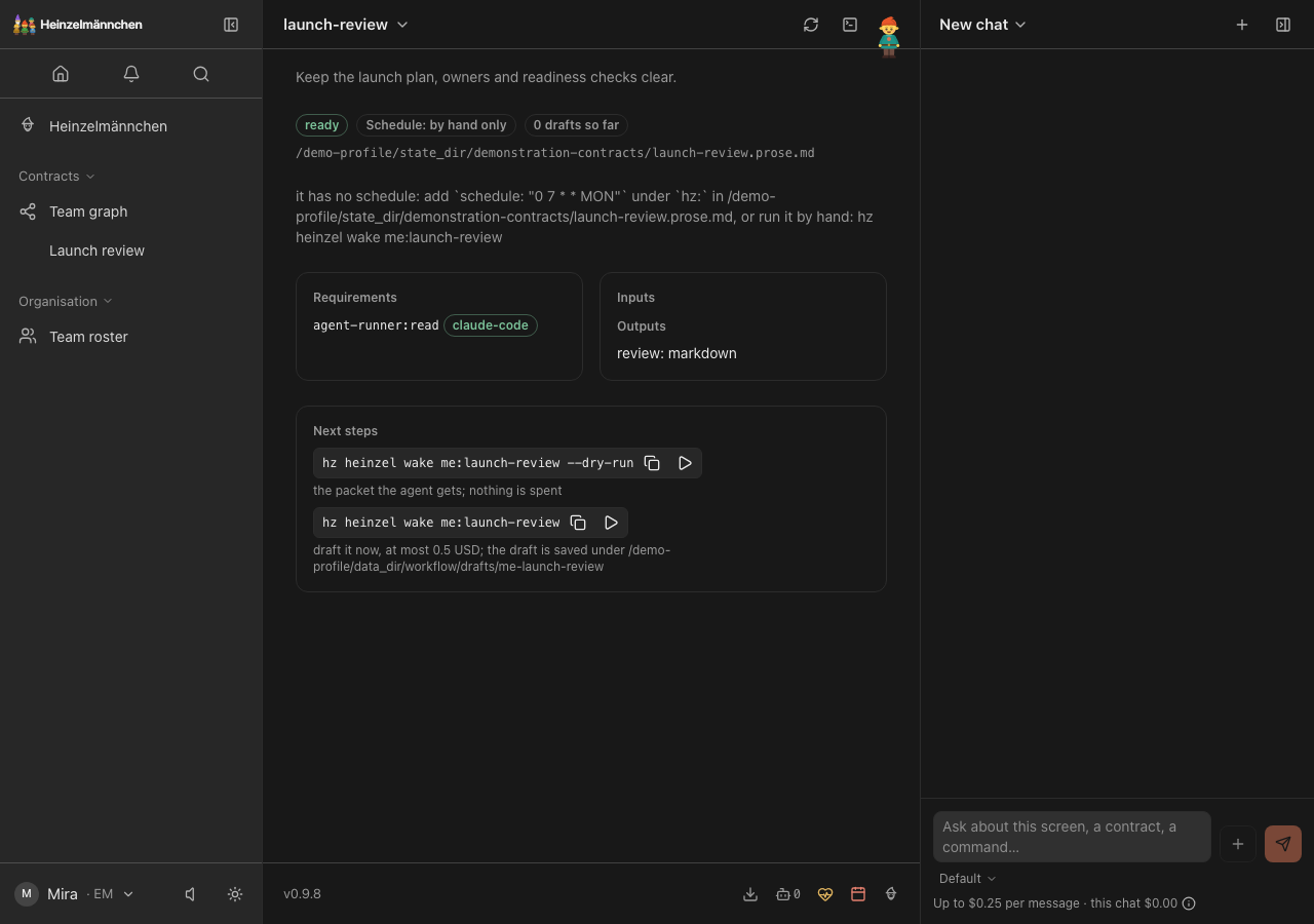 The installed Heinzelmännchen theme on a representative local contract — dark appearance