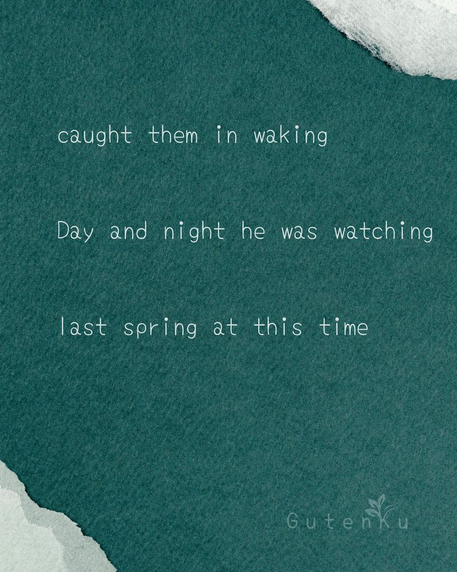 Daily generated haiku card with artistic image