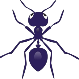 Ant