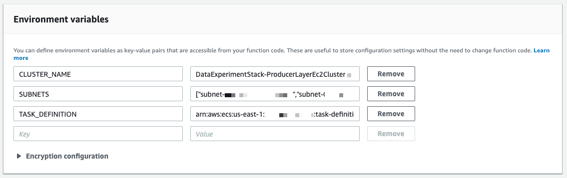 Lambda function environment variables