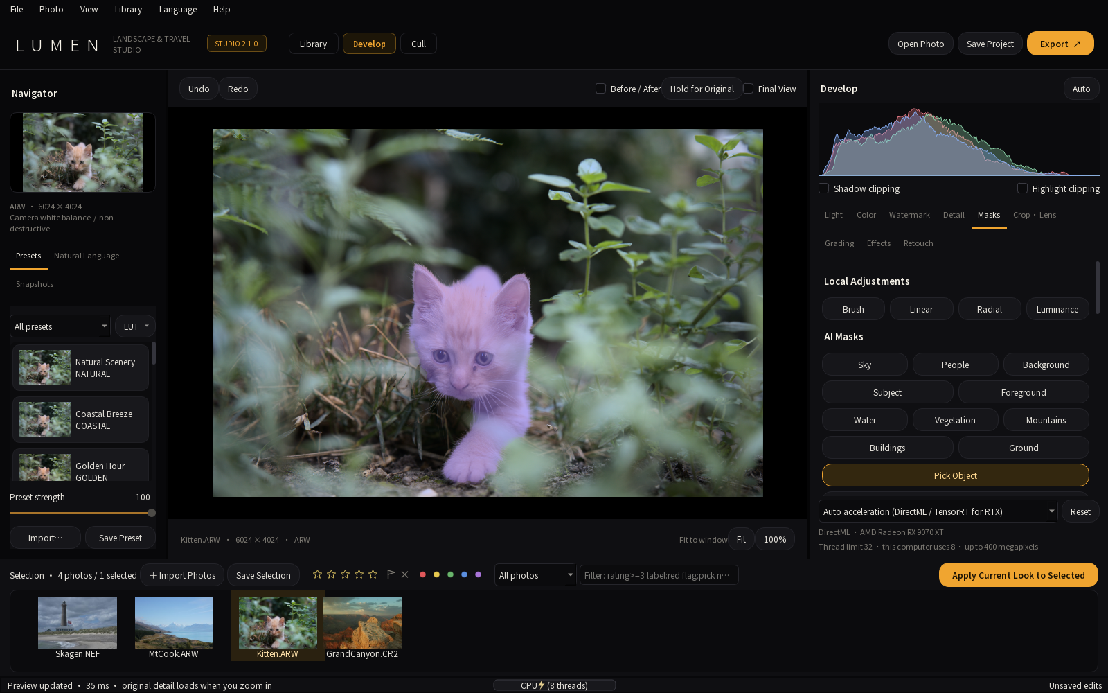 LUMEN RAW 2.1.0 in English: the Masks panel with the new buttons Water, Vegetation, Mountains, Buildings and Ground and the active Pick Object button; one click on the kitten selected it (purple overlay), including the raised paw