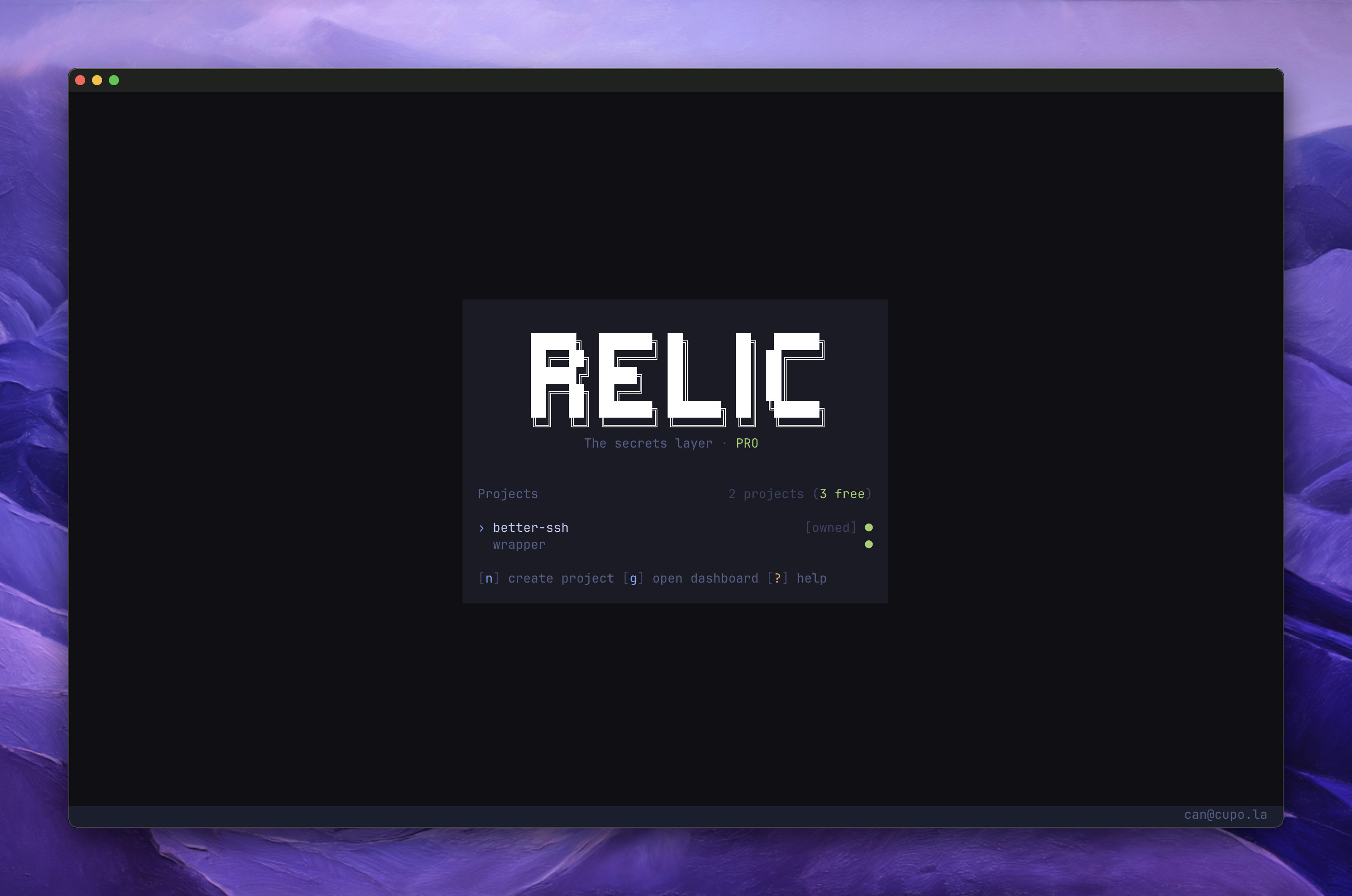 Relic Terminal UI