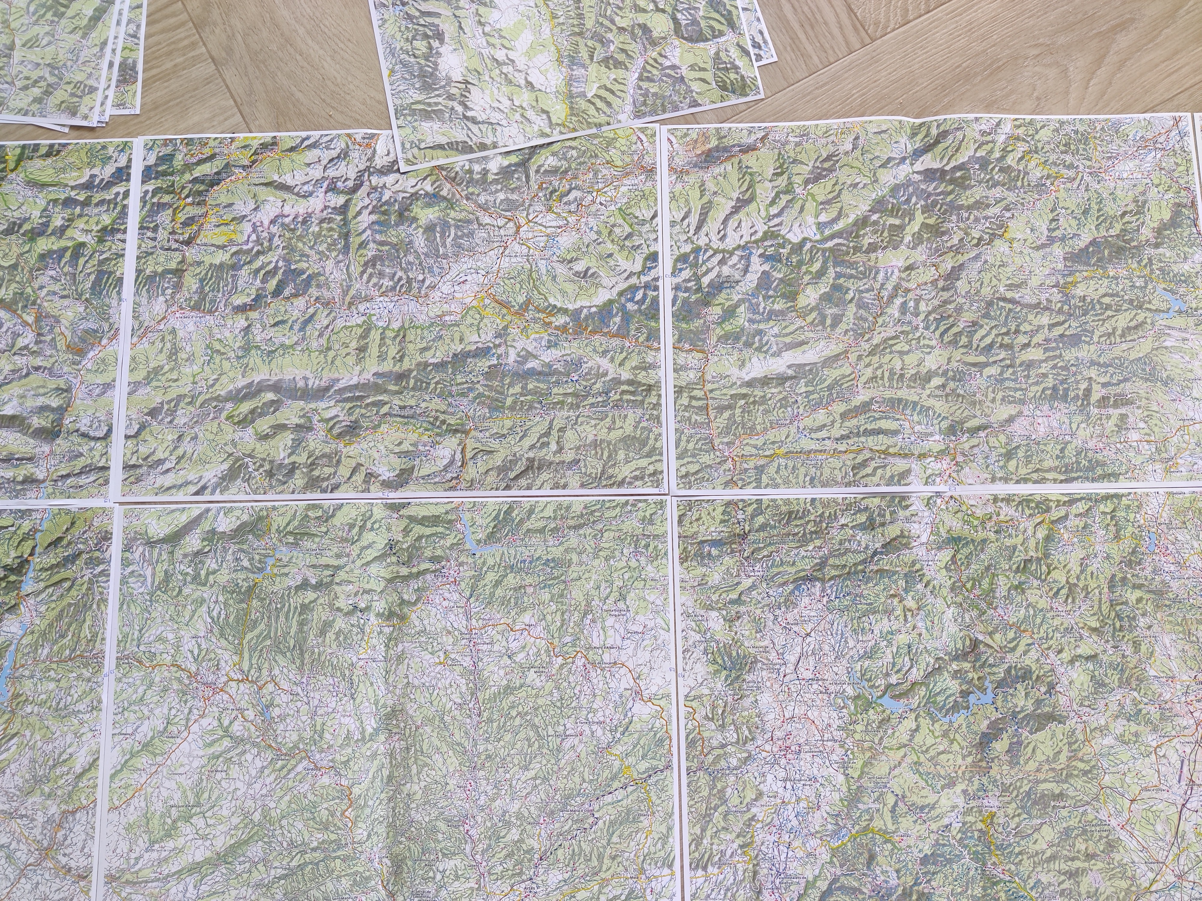 Printed map
