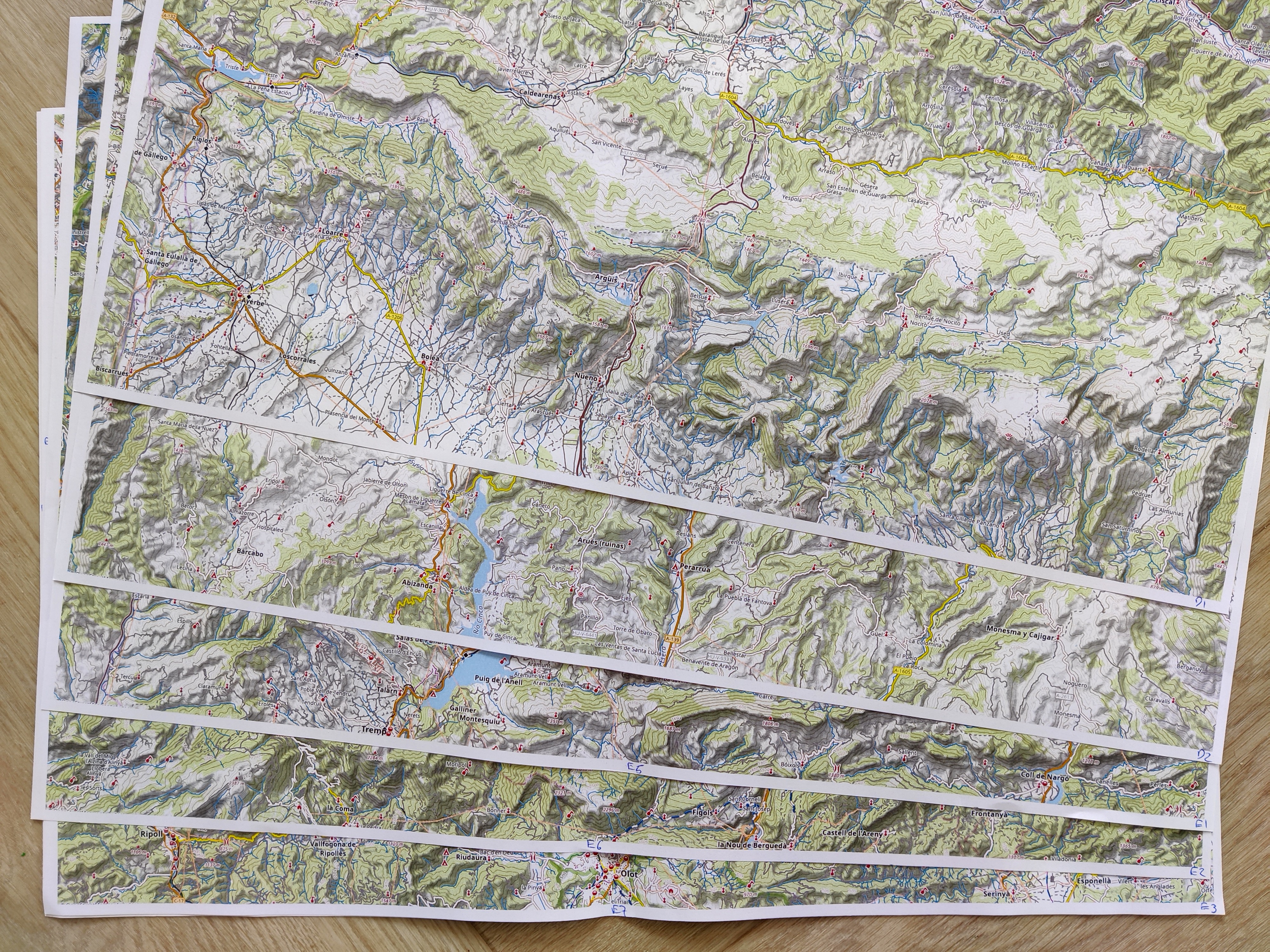 Printed map