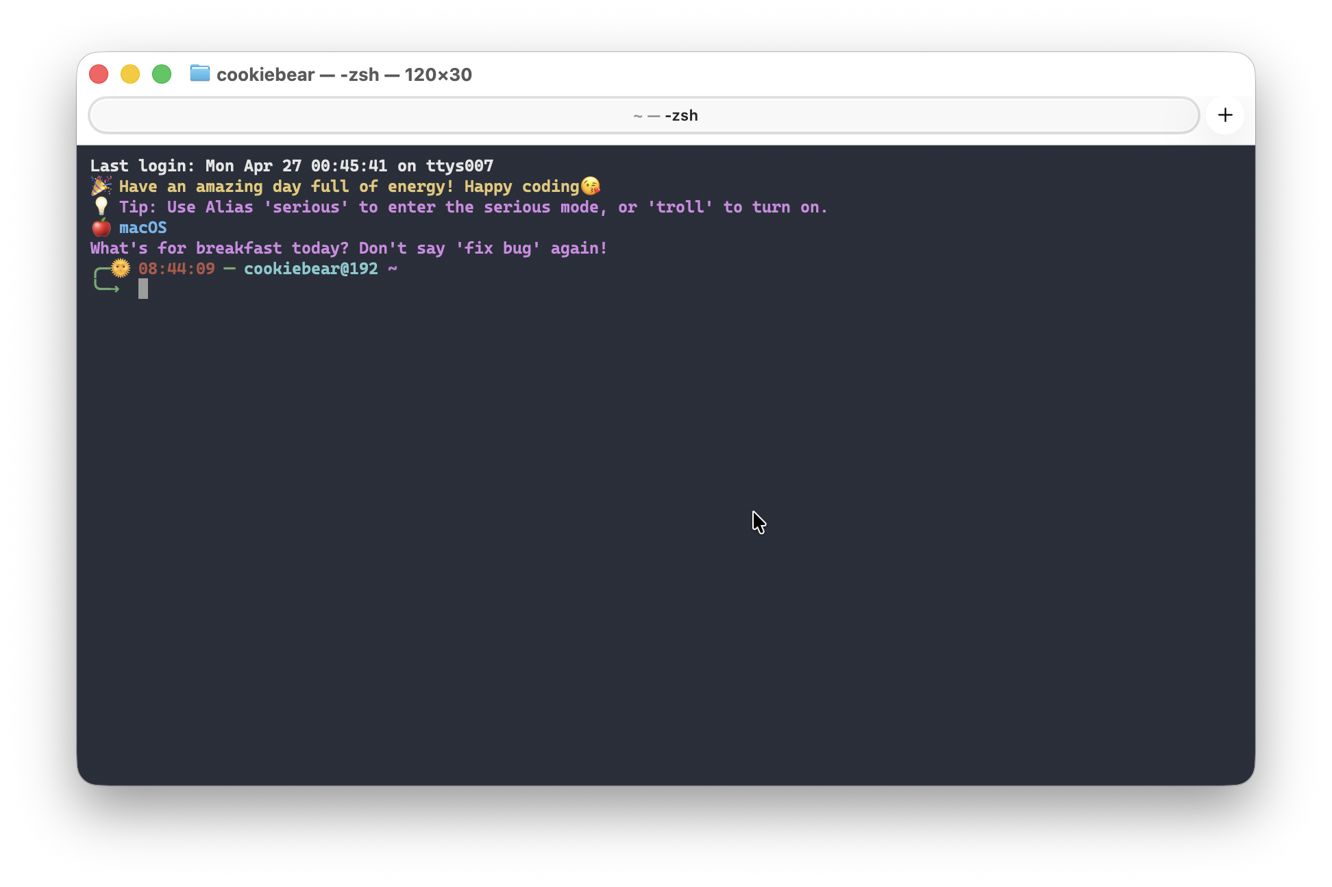 Zsh Buddy Theme Preview
