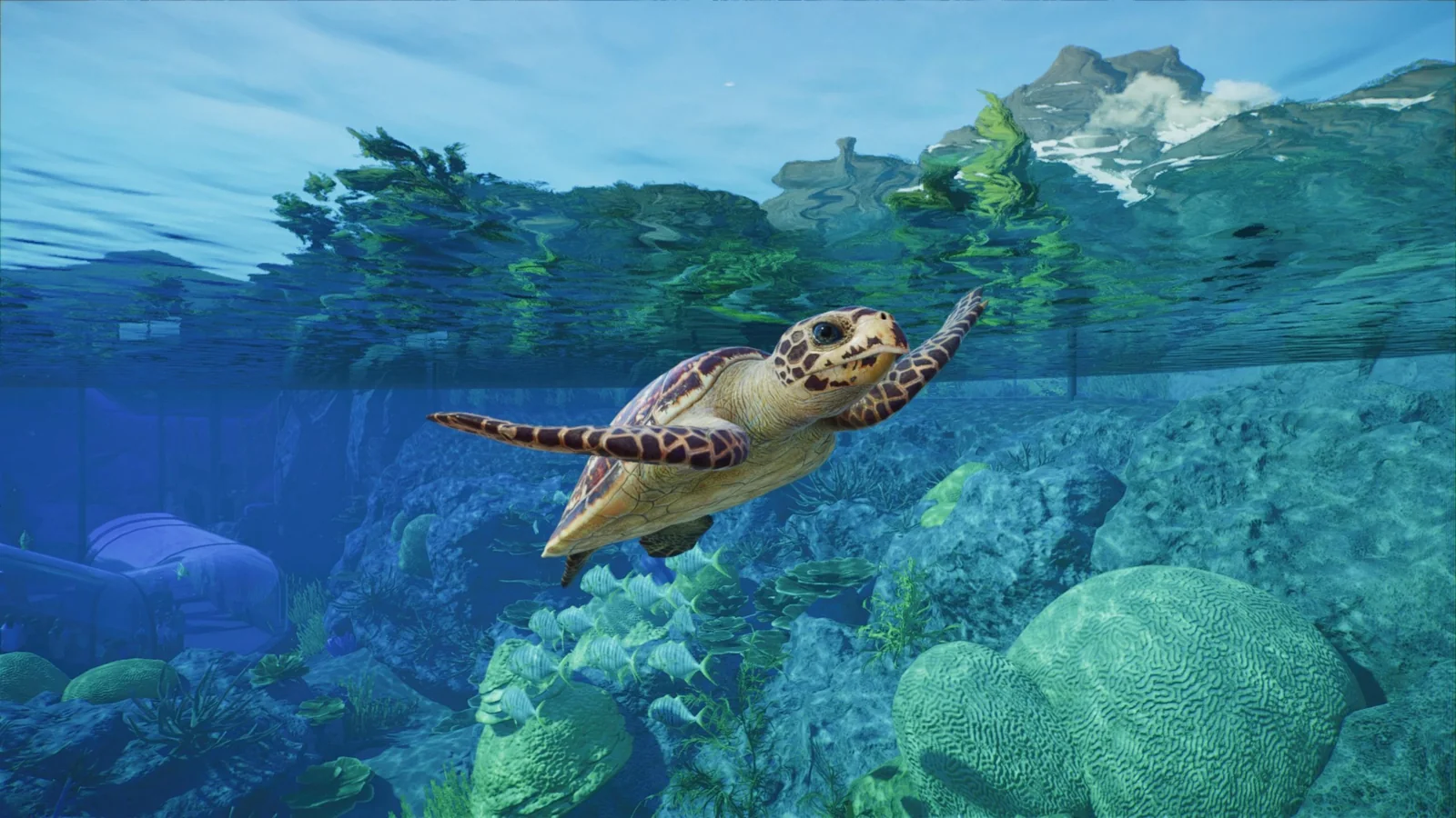 Planet Zoo 2 Review: Gorgeous Animals Trapped Beneath Fiddly Micromanagement