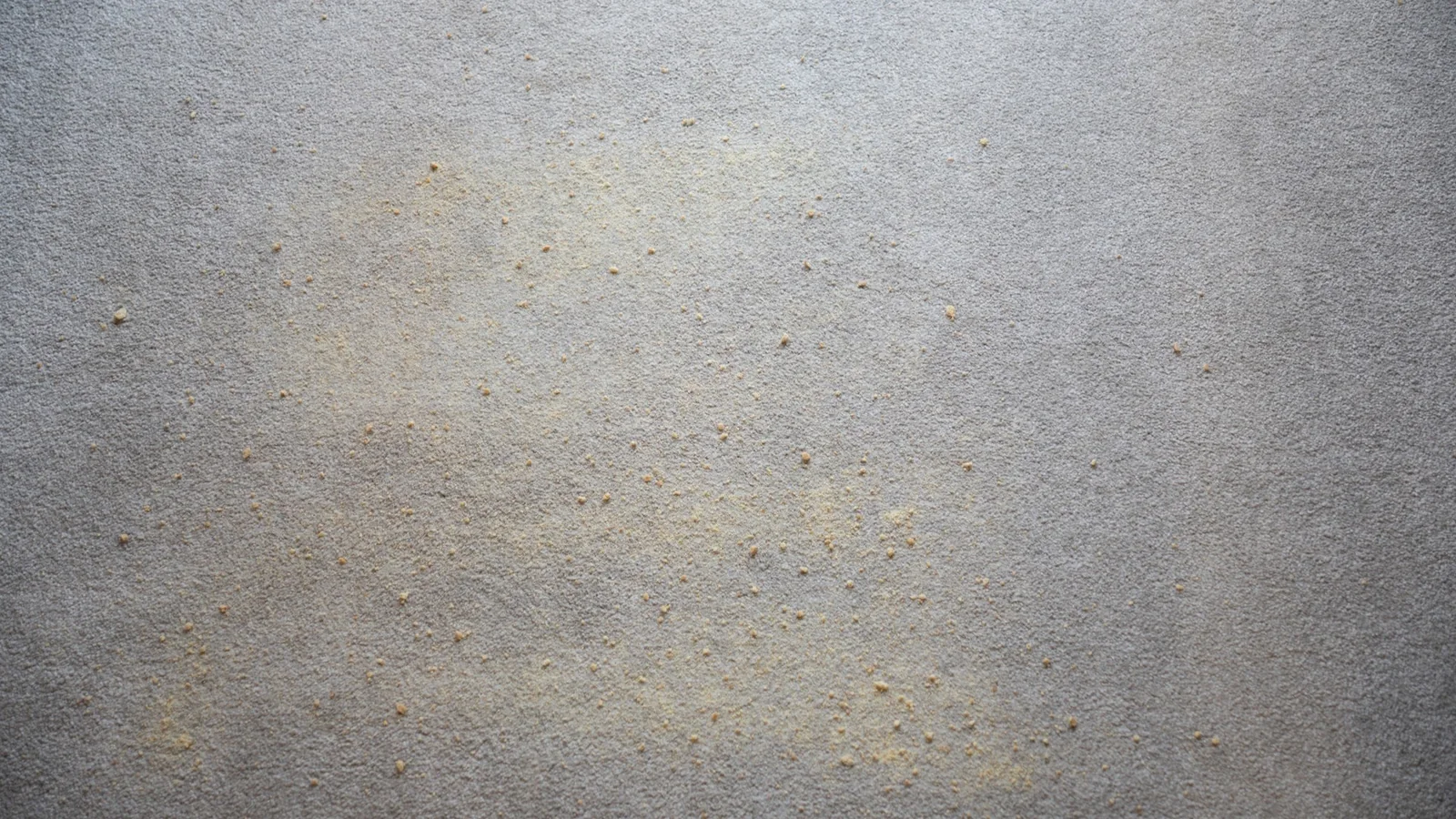 Carpet with crumbs