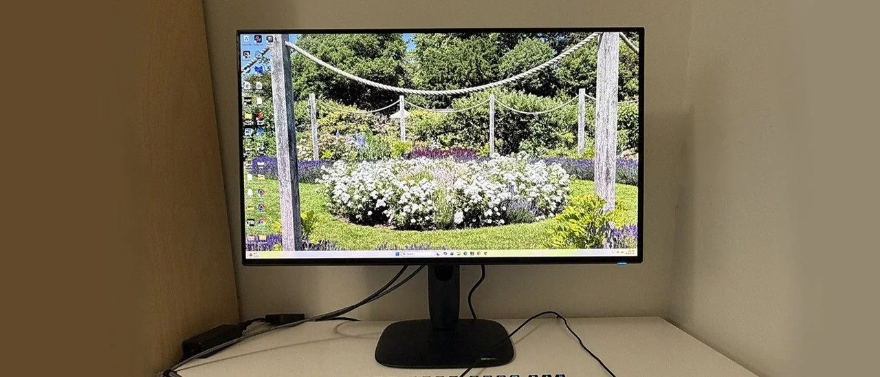 Alienware AW3226Q Review: 32-Inch 4K OLED Gaming Monitor