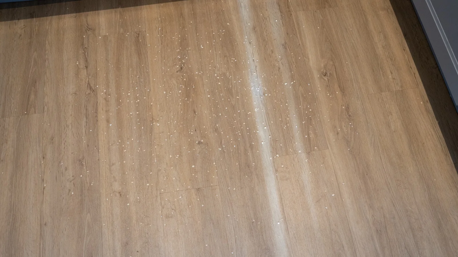 Oats on hard floor