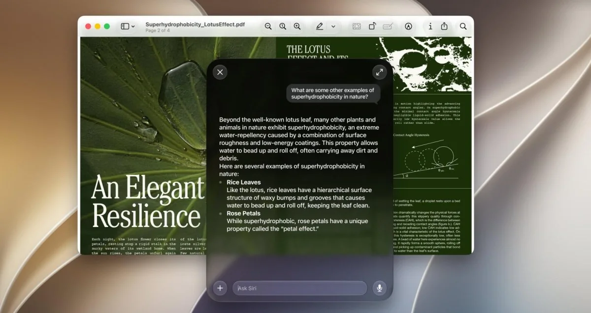 Open-Source Tool Enables Deletion of Apple Intelligence Data on macOS
