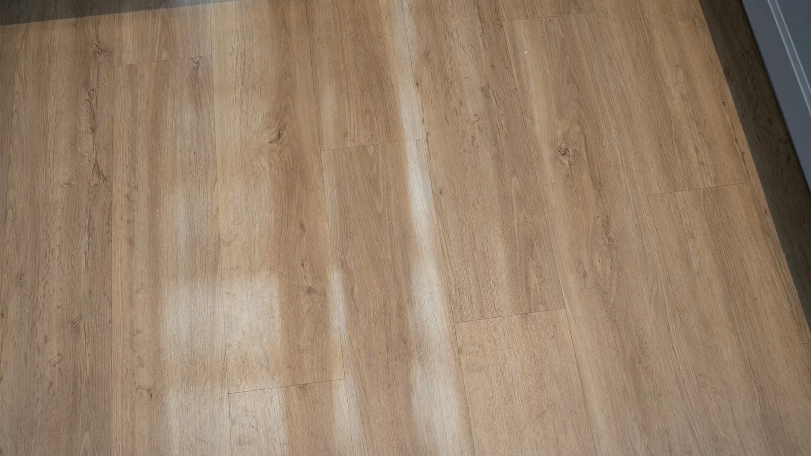 Oats cleaned from hard floor