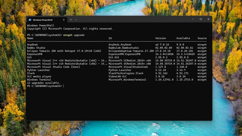 Windows PowerShell showing WinGet results with 12 app upgrades available.
