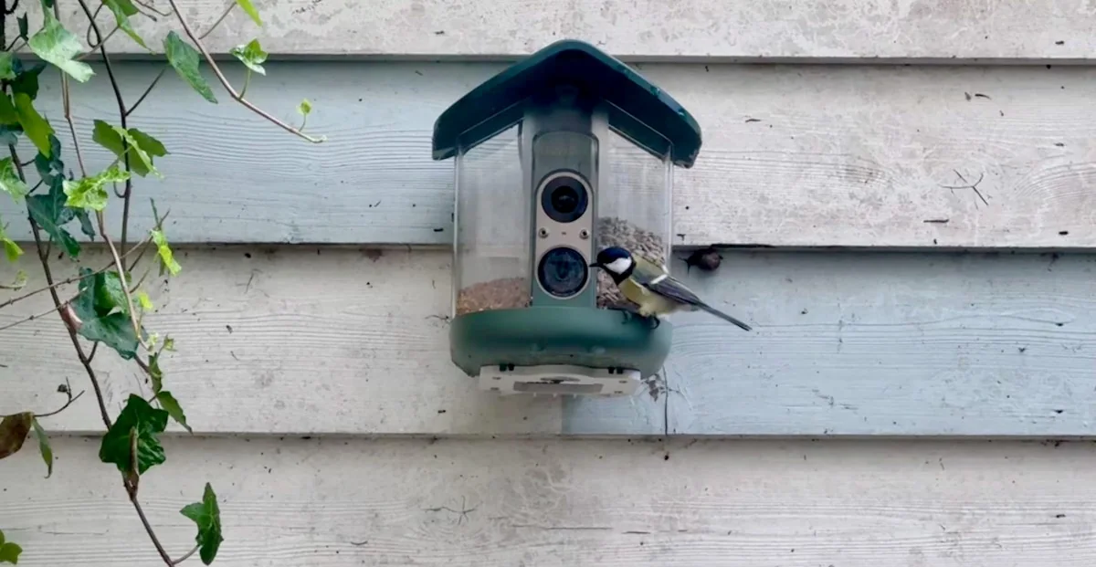 Kiwibit Bird Feeder 2 Pro Review: Advanced AI Meets Unwanted Pests