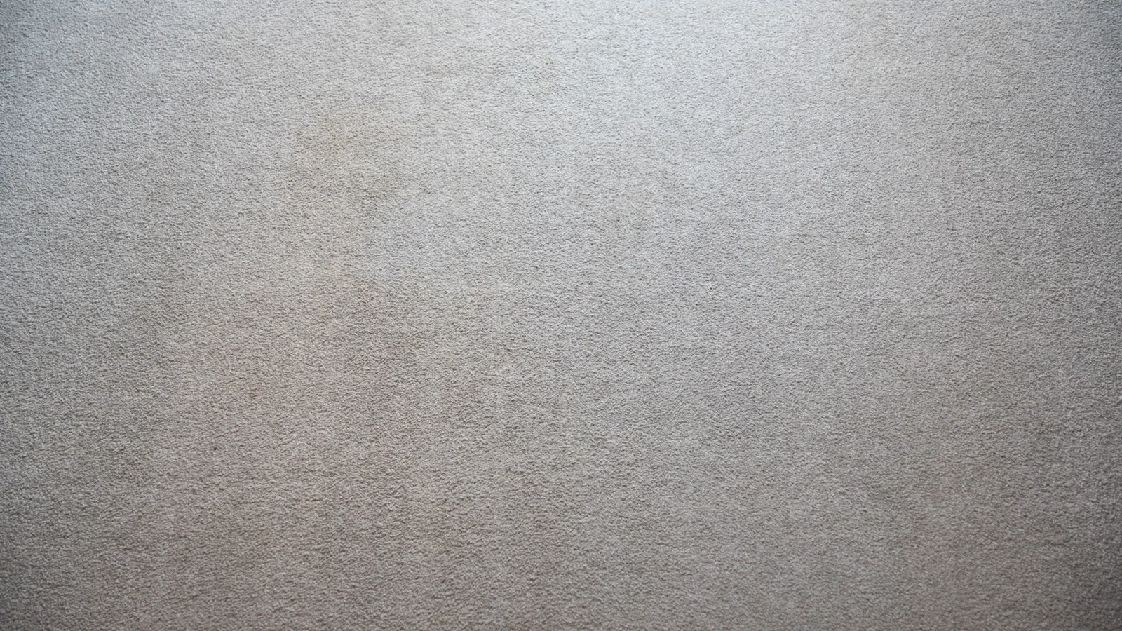 Carpet after vacuuming