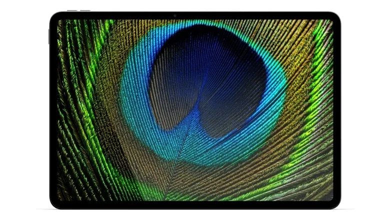 An Alexa Tablet 12 Pro displaying a peacock feather.