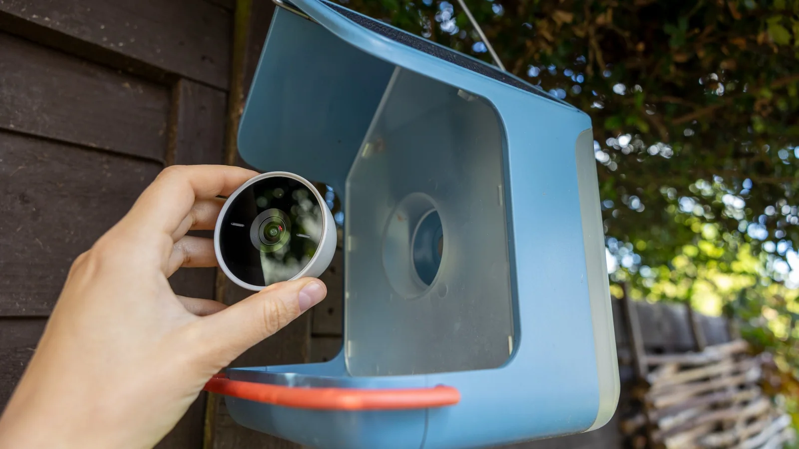 A female rotating the magnetic Bird Buddy 2 camera
