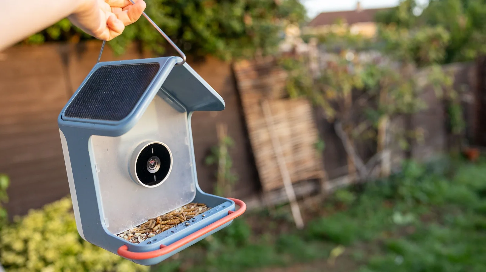 Bird Buddy 2 Review: Solar-Powered Smart Feeder With Exceptional Battery