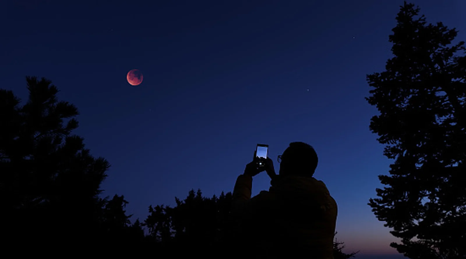 Why Your iPhone Photos Are Blurry and How to Fix Them