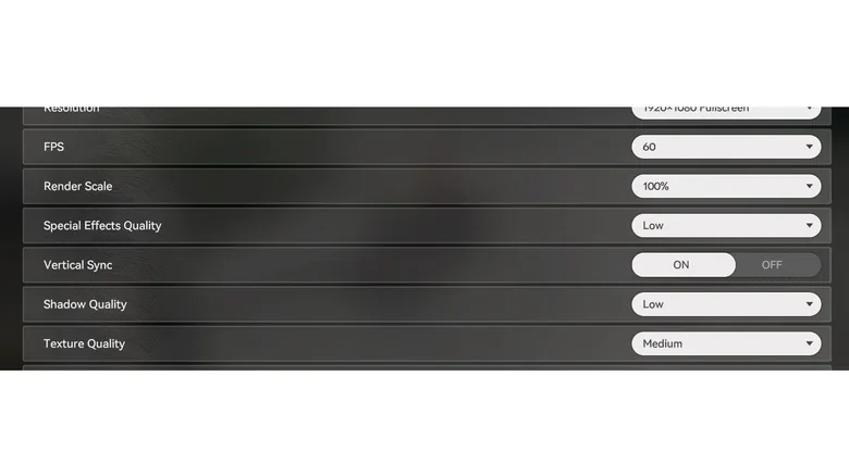 A game's display settings with vertical sync turned on