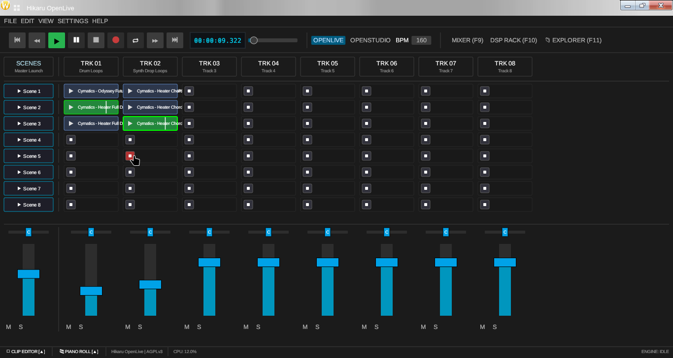 Arranger View
