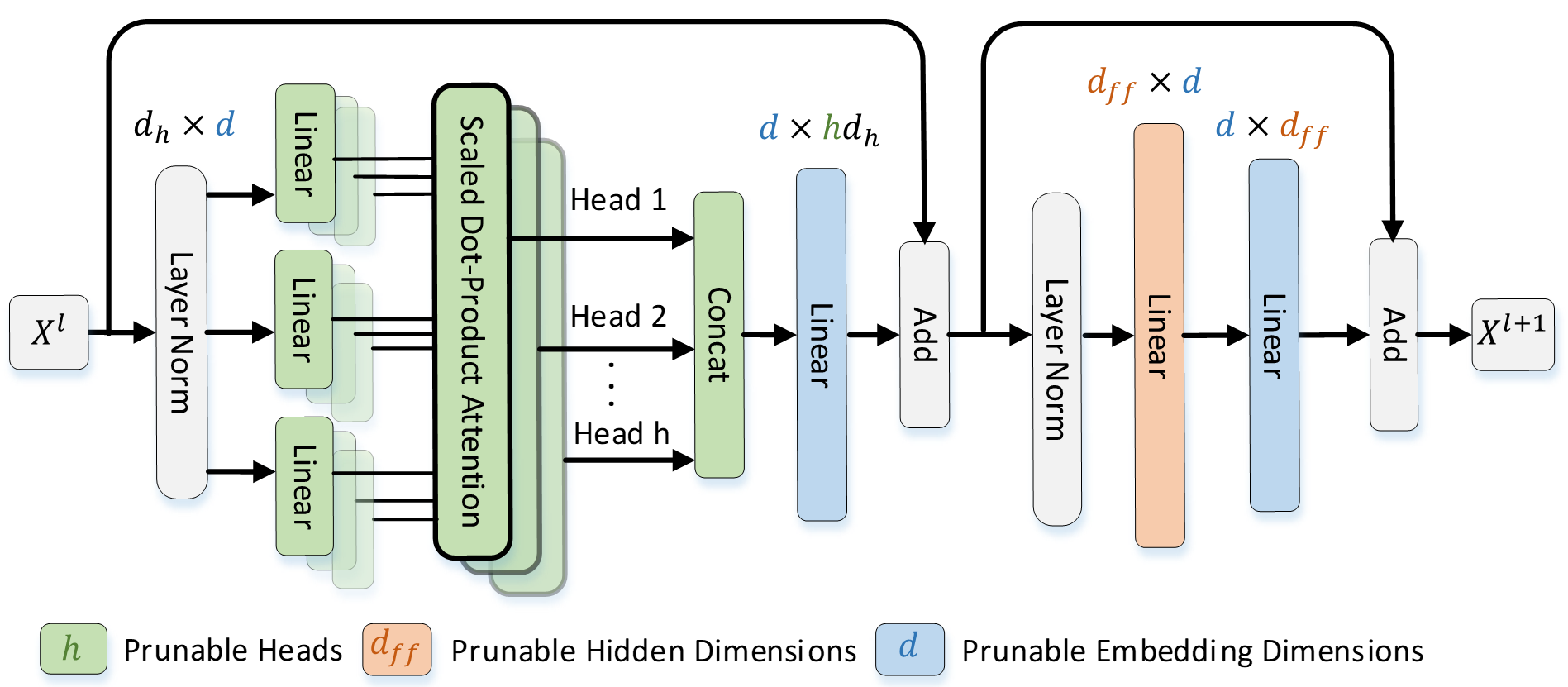 The illustration of prunable components in a ViT block