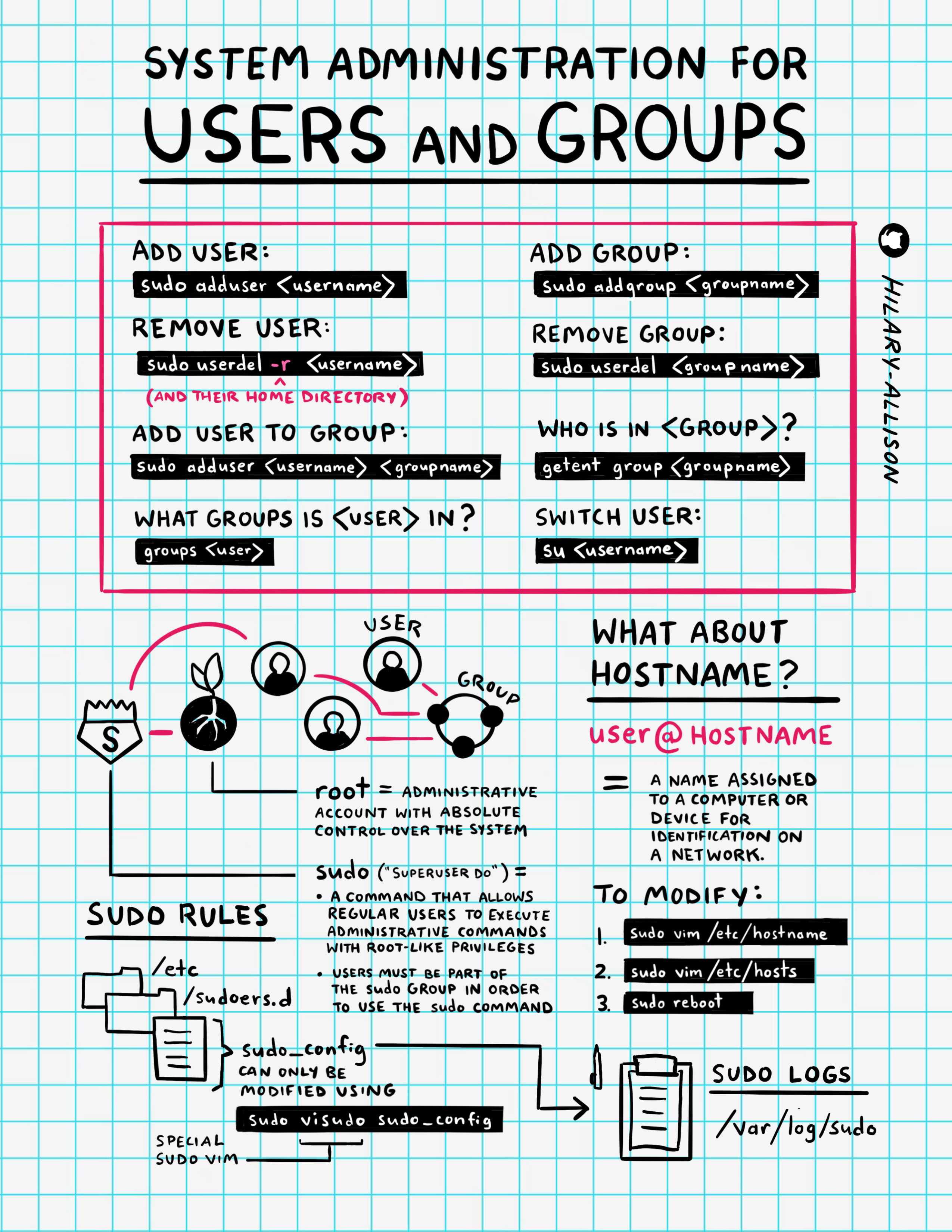 Infographic: Users and Groups