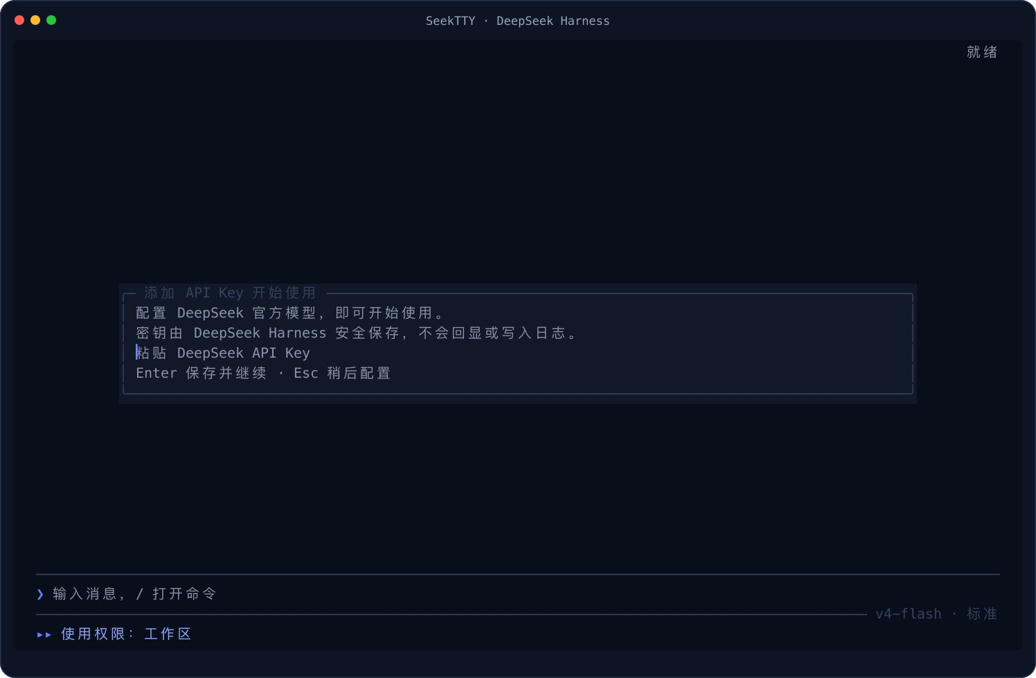 SeekTTY dark first-run API key prompt