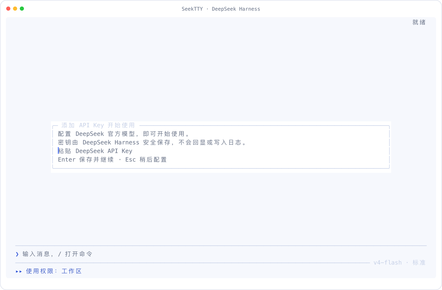SeekTTY light first-run API key prompt
