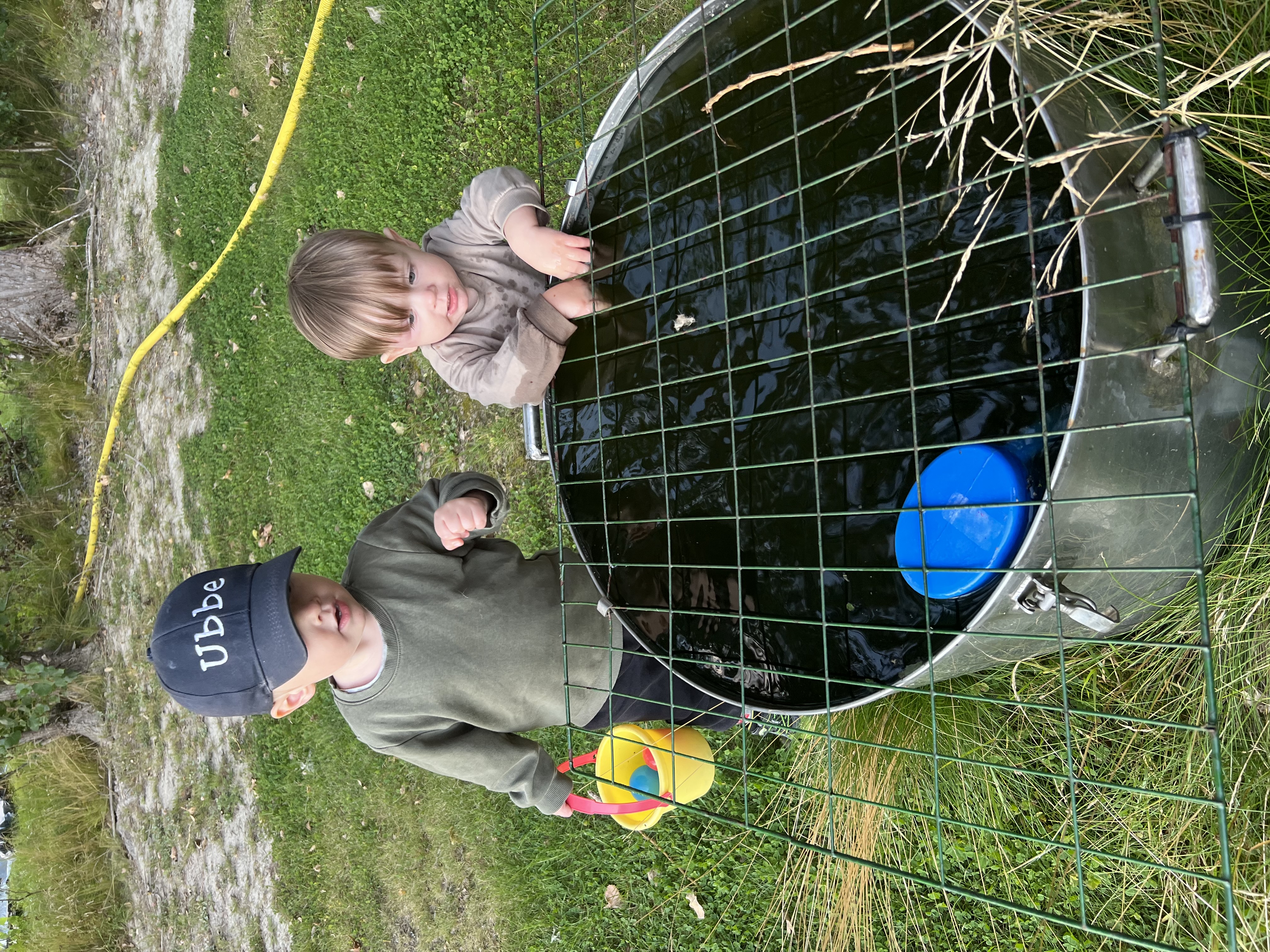 Bloggbild 2