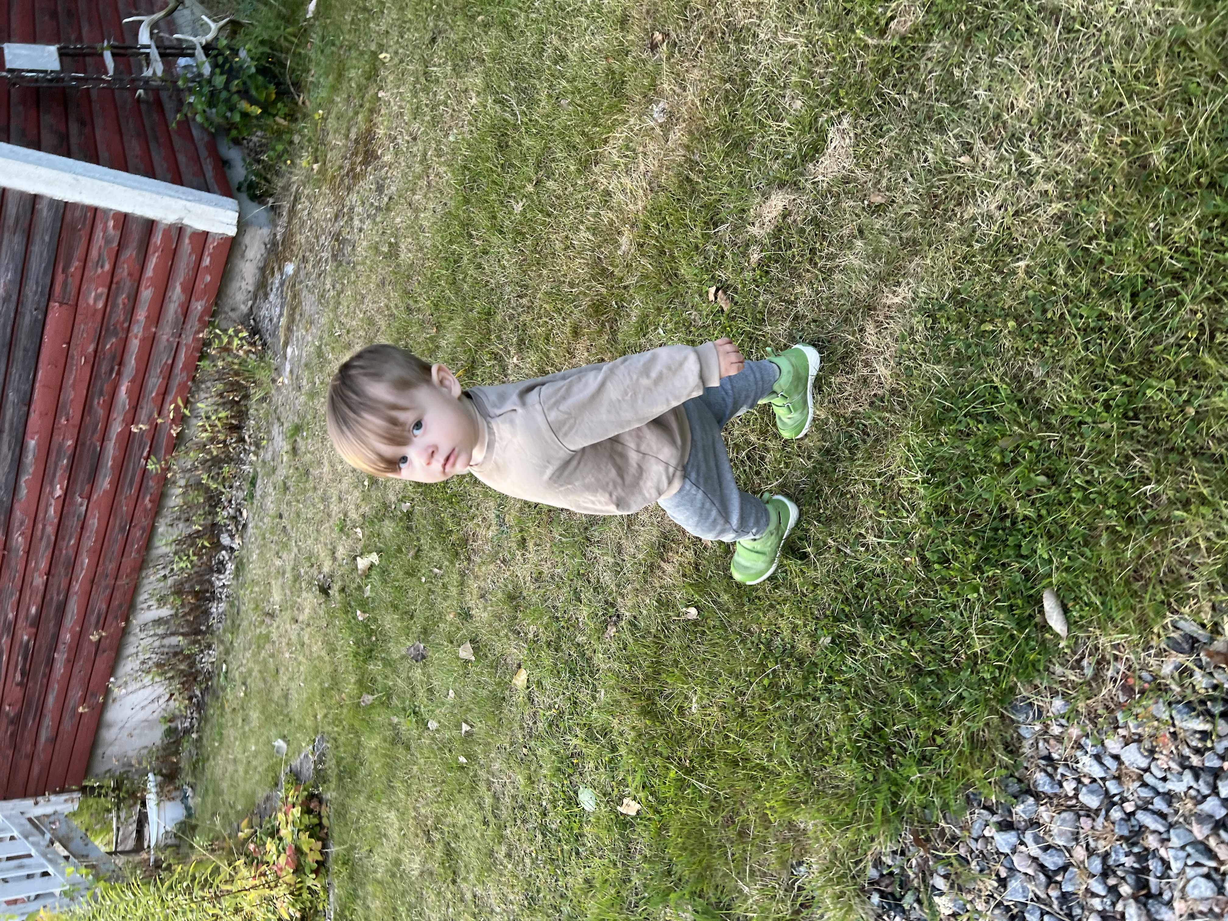 Bloggbild 3