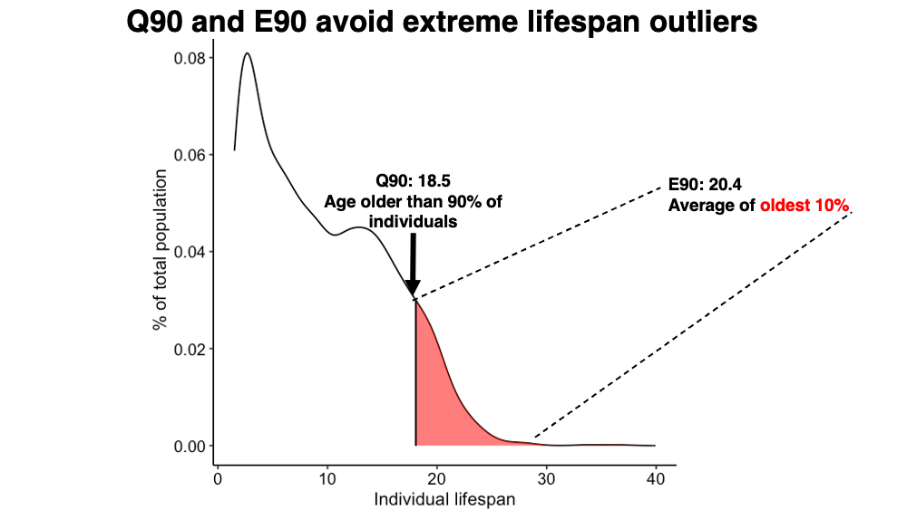 Q90 and E90 lifespan metrics