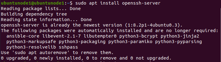 sudo apt install openssh-server