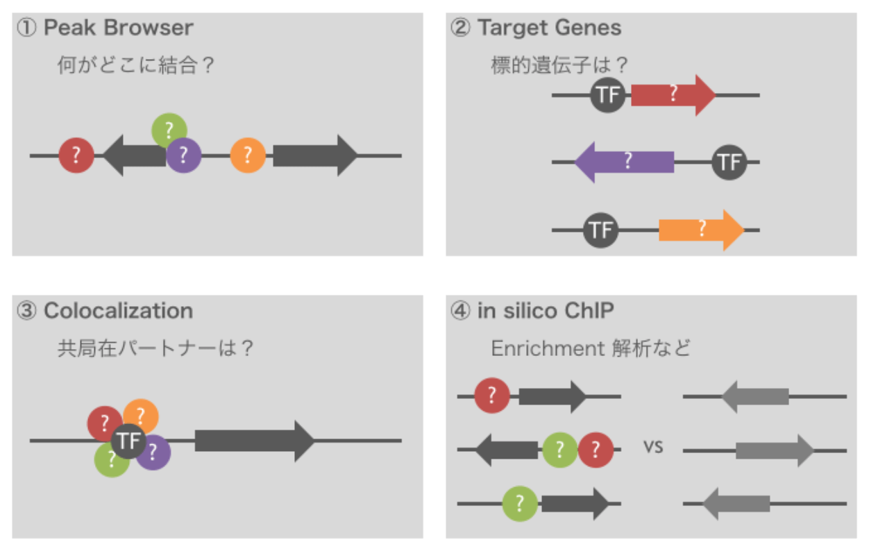 fig11