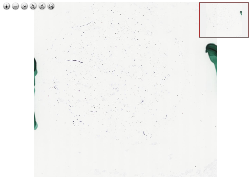 Click for Full Screen WSI