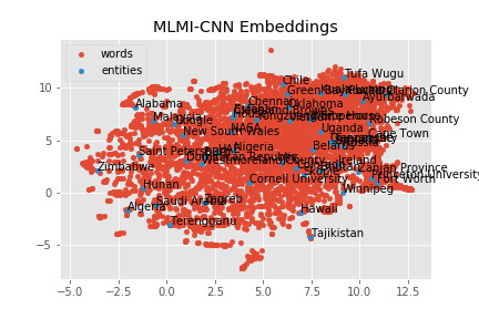 MLMI-CNN Embeddings