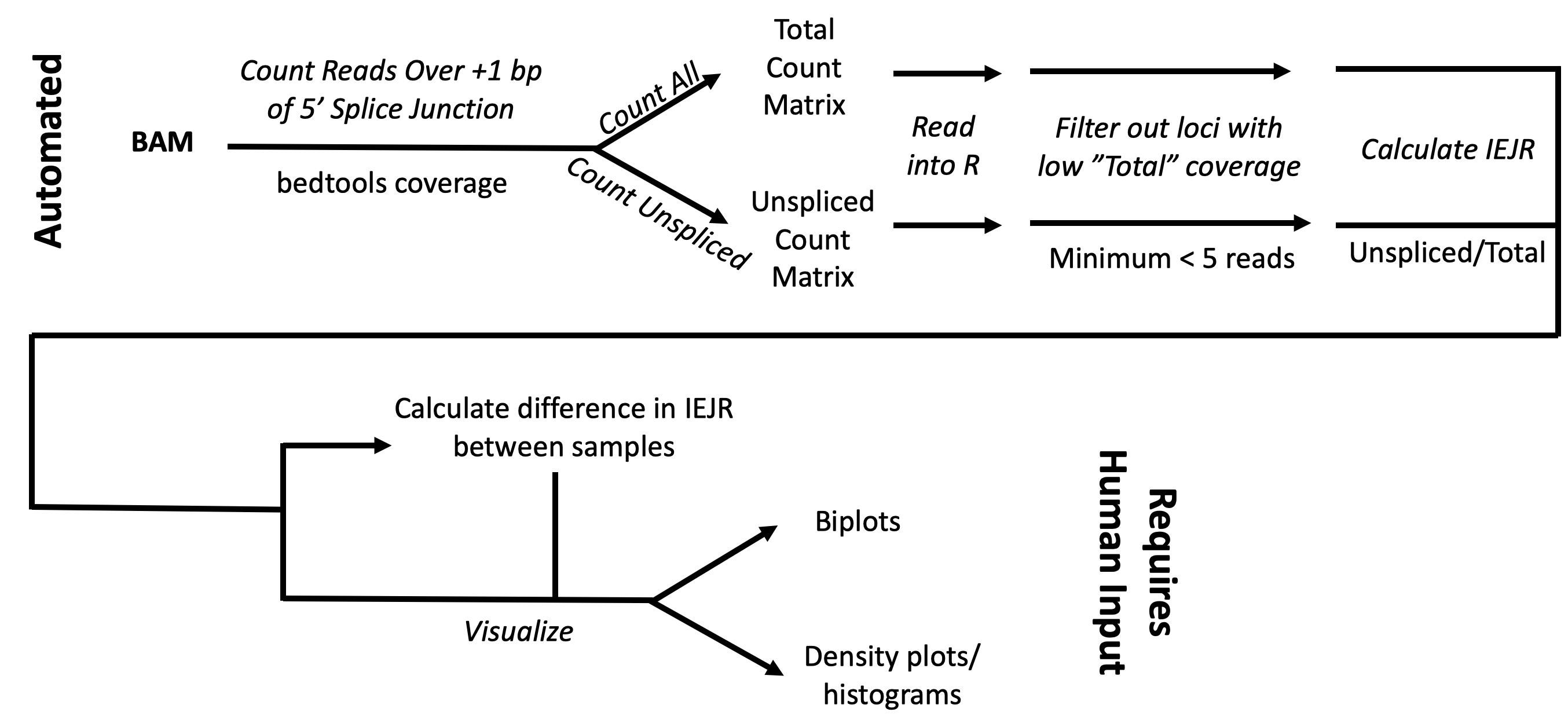 Calculation of IEJR