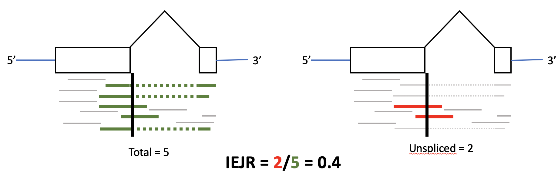 Calculation of IEJR