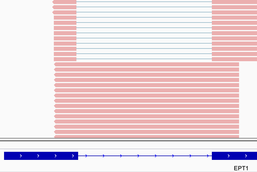 IEJR around 0.5 example