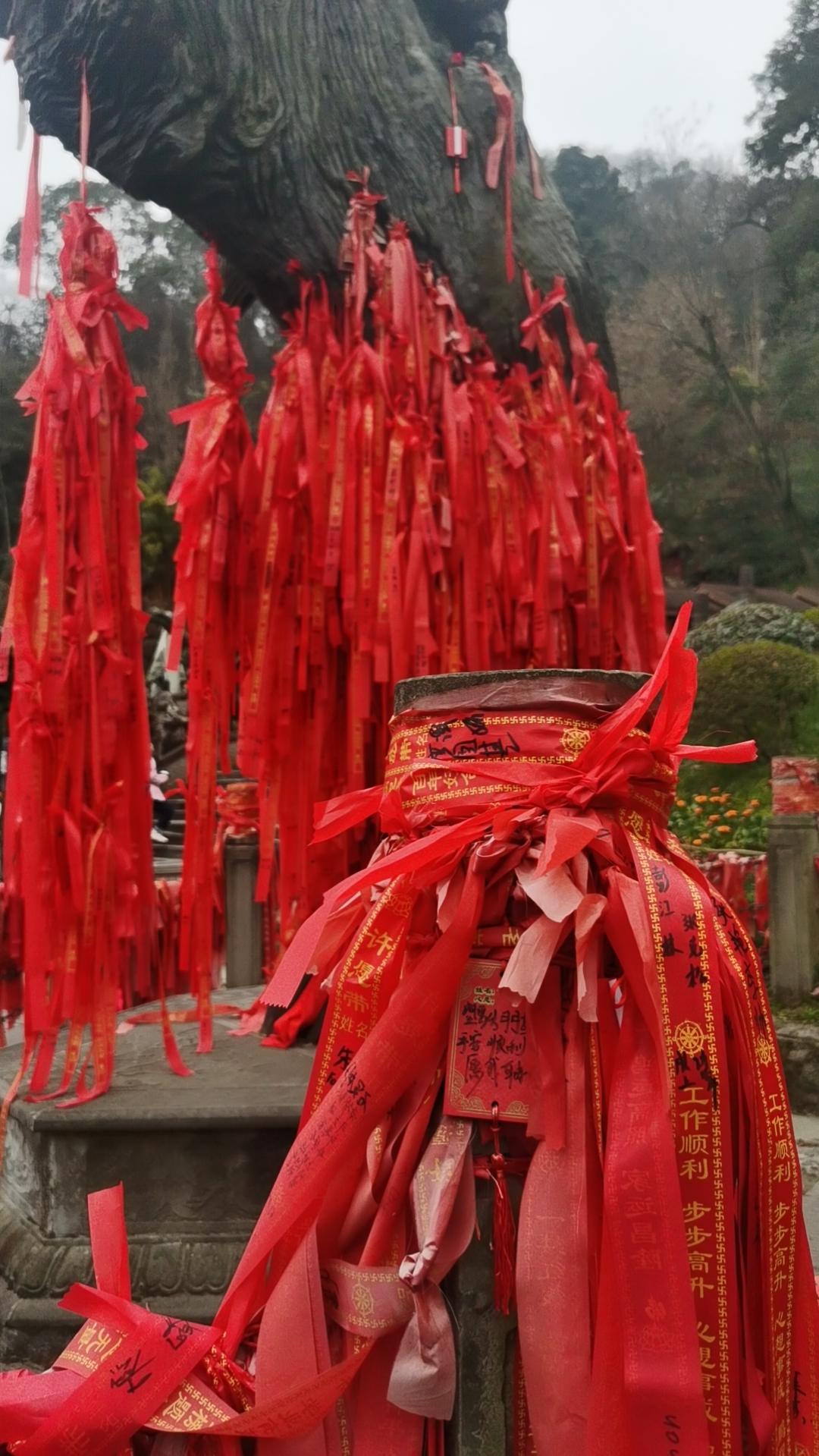 wx_camera_1705560627584