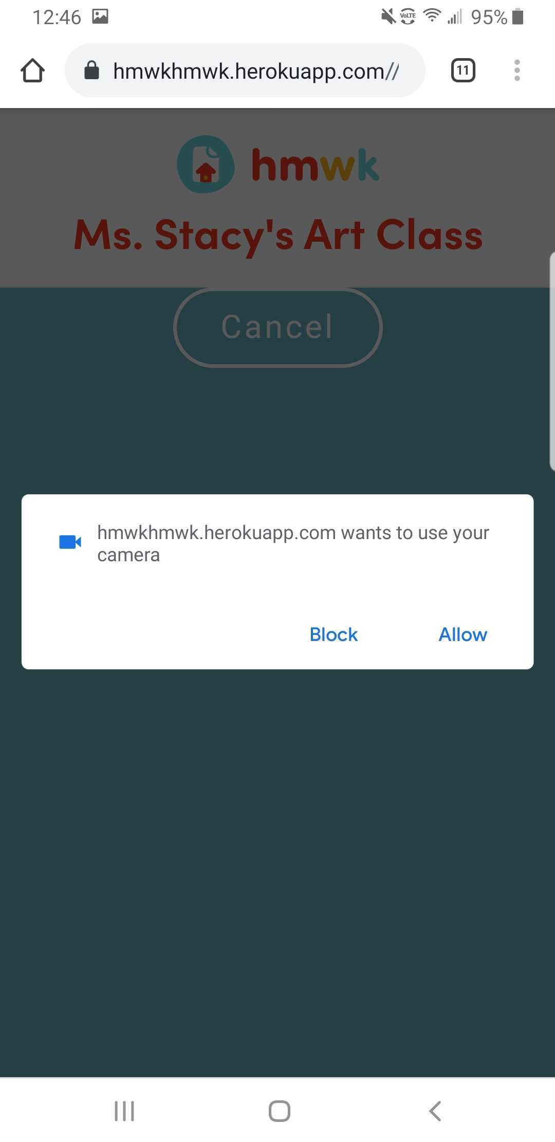 App asks for camera permissions