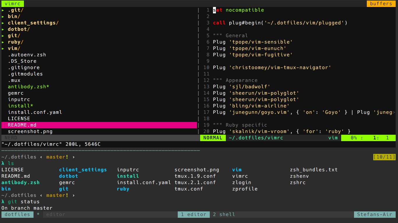 Screenshot of vim and shell prompt