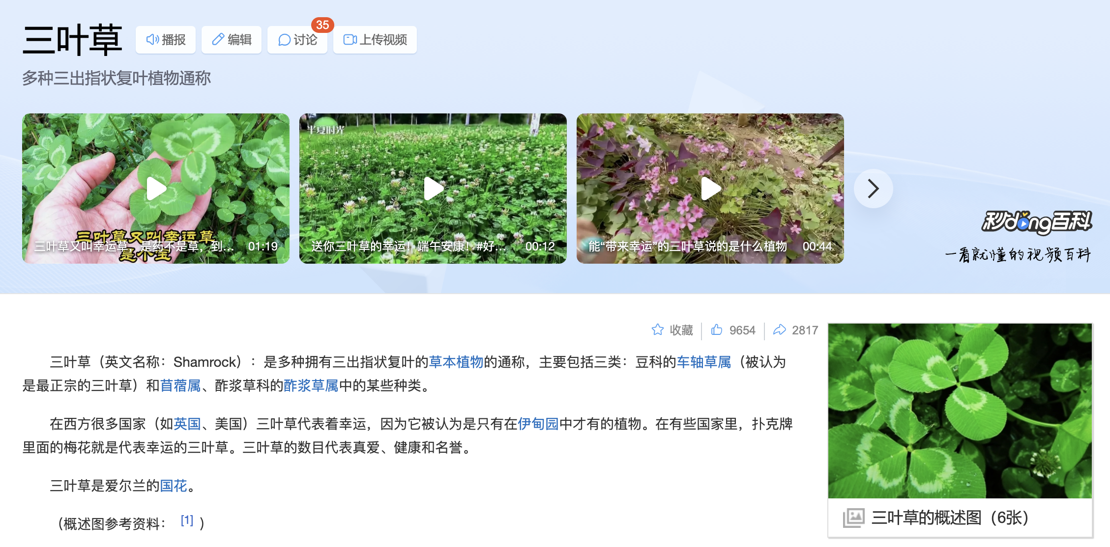三叶草-百度百科