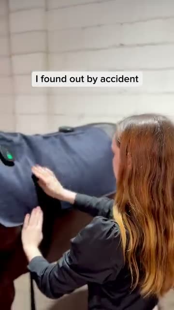 HorseHalo ad