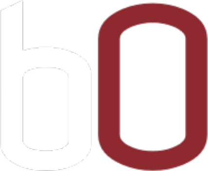 budget zero